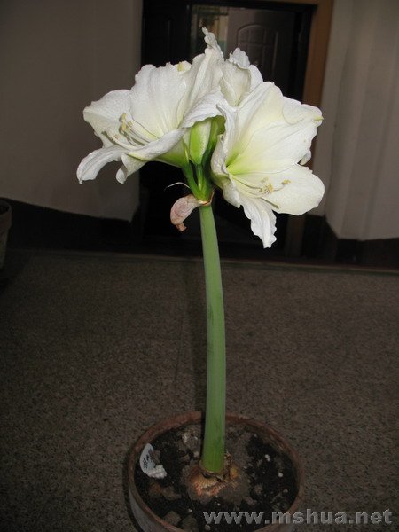 �ŵ���1.9 (6).JPG