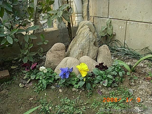 RIMG0013.JPG