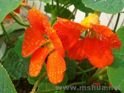 ������С DSC04039.JPG