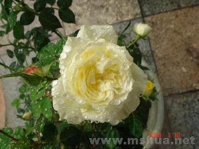 ������С DSC04032.JPG
