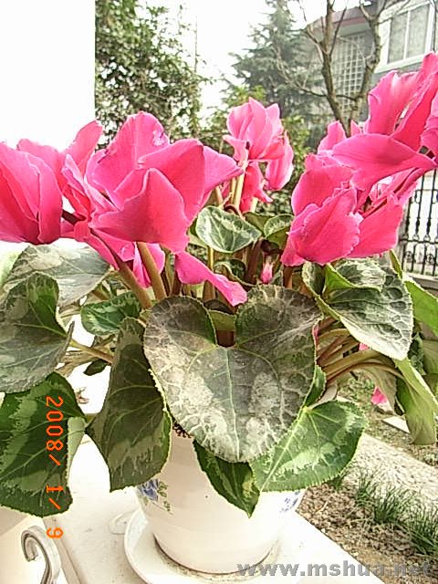 RIMG0038.JPG