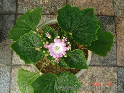 ������С DSC04040.JPG