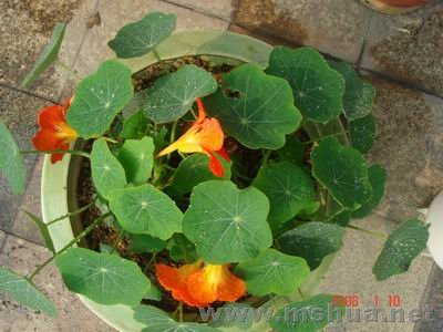 ������С DSC04038.JPG