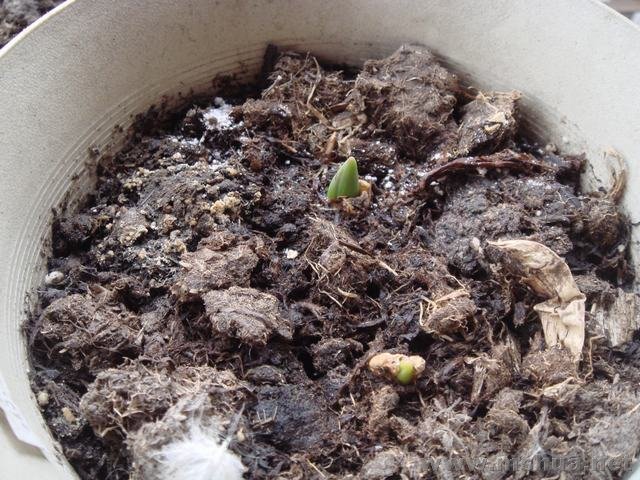 ��Ϊ�õ���׼�������ĵ��ֵ�������