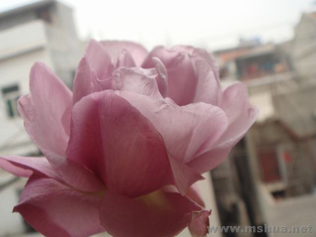 DSC03442.JPG