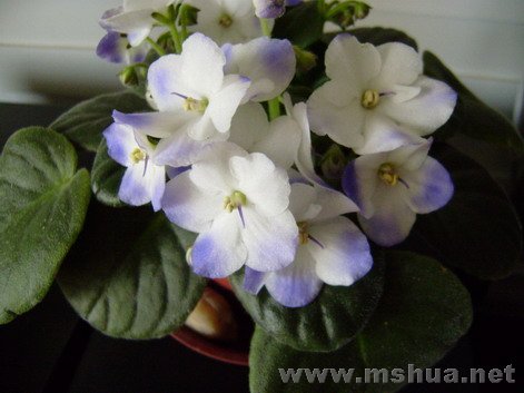 ��ϧ���Ĳ���������ϸϸ�����⡣