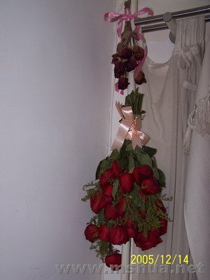 05����ס���ķ�����,�д����ߵĻ�