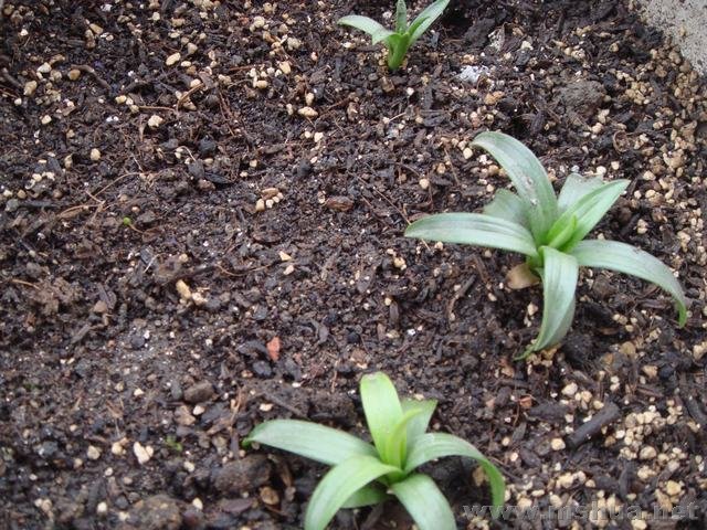 ����2���µ�С�����ٺ�