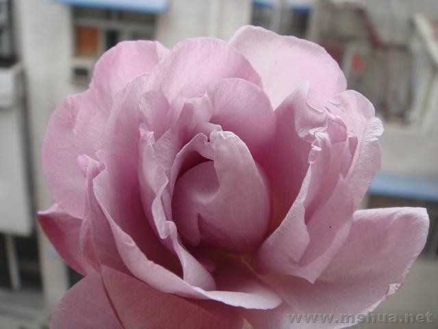 DSC03441.JPG