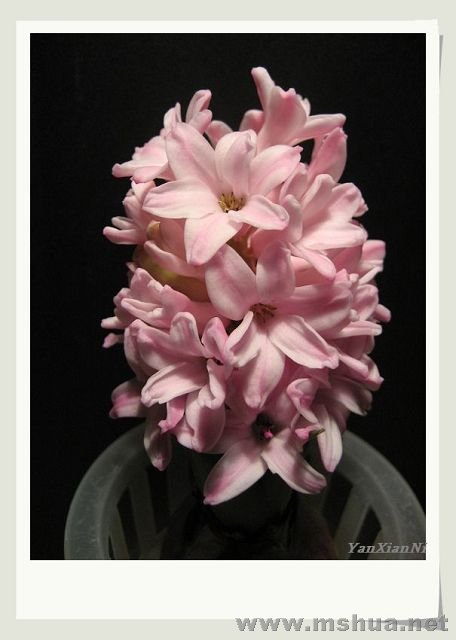 ���� 025.jpg