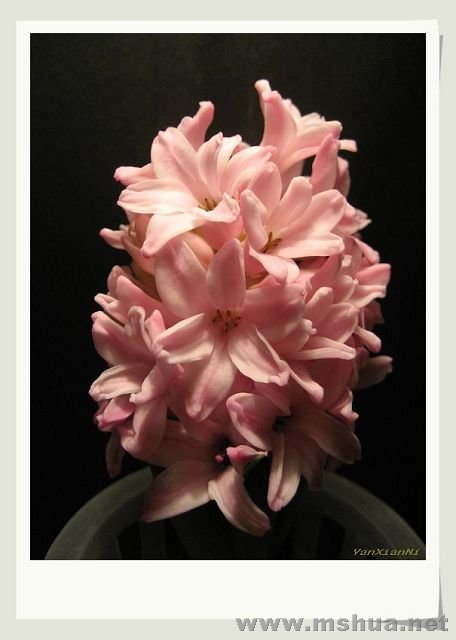 ���� 007.jpg