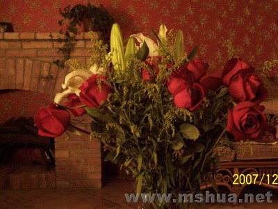 08�����յĻ�