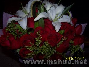 05�����յĻ�