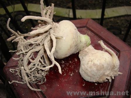 �ڳ�������ȥ�����˵Ĳ��֣�ȫ��Ĩ�϶����ɷۣ������Ǹ�ˬ�˰�