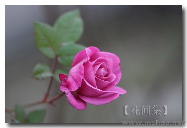 IMG_0082 ����.jpg