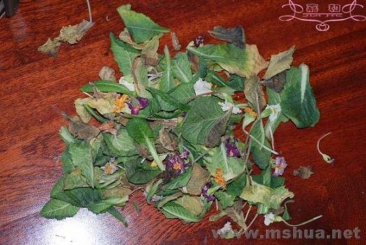 DSC_0185 ����.jpg