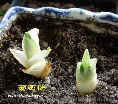 ���컨  ƥ������080113.jpg