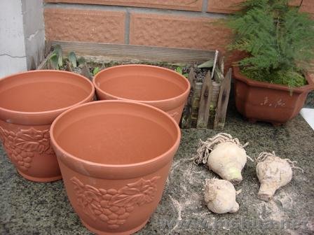 Ϊ����׼������������