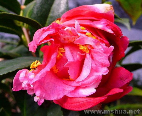 ��仨�󲿷ֻ����Լ��ѿ�����