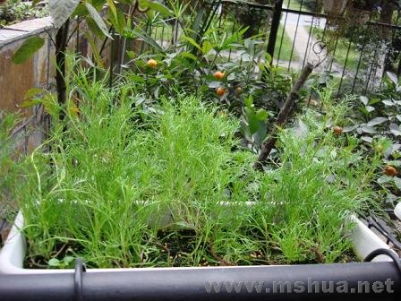 ��ɫ�պ���ܾ���