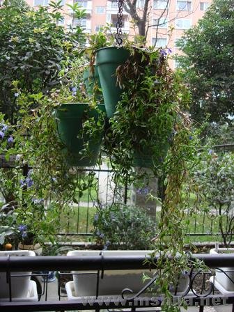 ��������Ȼ���