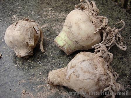 ������ˬ��������ճ�����Ķ���