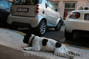 ��Ѽһ��ſ��