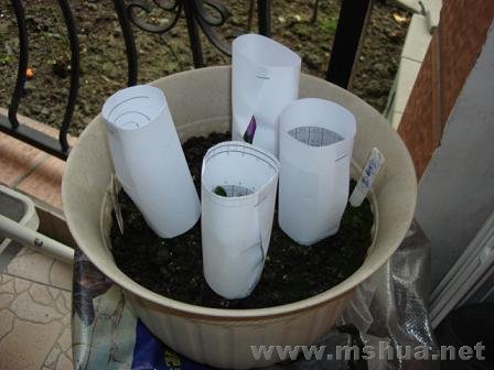 ����ķ������Ѿ����ϰ�ñ��