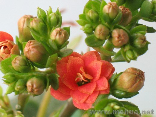 ��ͼ�ĵڶ��ֵ�1�䣬�ɴ���Ϊ��ɰ�����ˣ�ϲ��