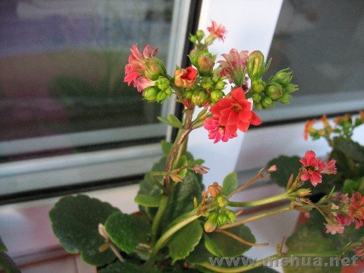 �����ĵڶ��ֵ�1�䣬��ɫ