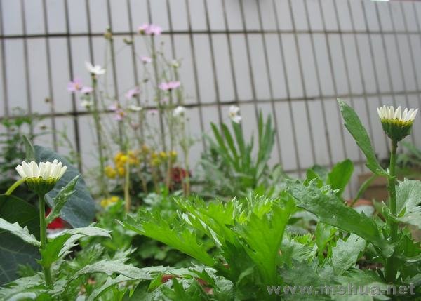 �׾���¶���˻���