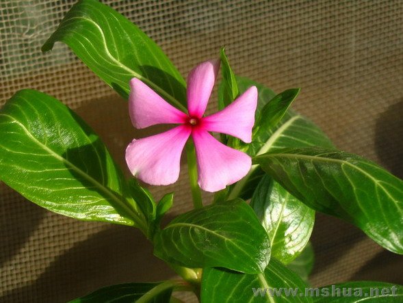 ���մ����ˣ�