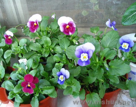 ����ʱ���߲�̫�ã�