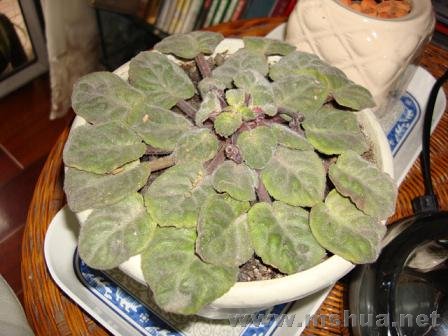 �Ͽ�ᵽ������