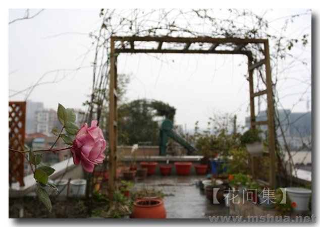 IMG_1012 ����.jpg