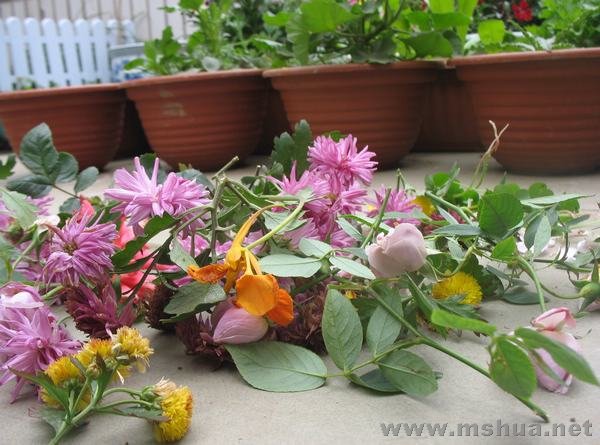 ����ժ��һЩ�л�