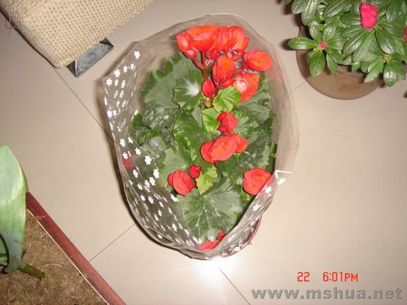 ������С DSC02130.JPG