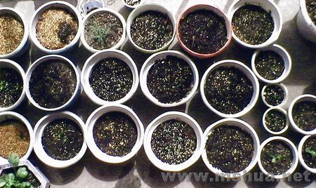 ��ǰ�겥��