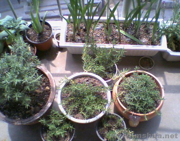 ��Ի�ʱ�Ե�һ����