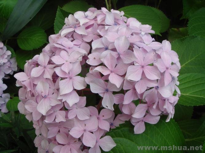 �����������ܱ����ֹ���