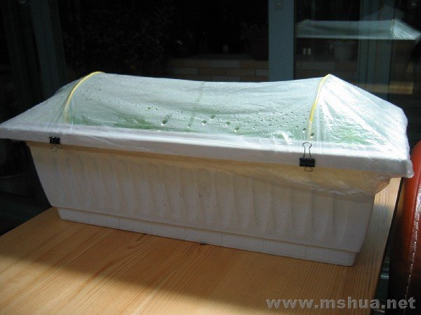 ƽʱ������