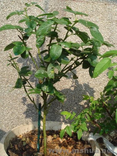 û�����¼���ʱӲ�ǰ�����������¼����������������Ǻ����뿴�������¼���Ŷ���Һ��������˲�Ȼ�������Ҽ� ...