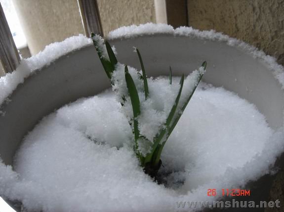 ������С DSC02159.JPG