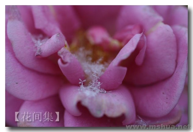 IMG_1195 ����.jpg