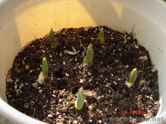 ������С DSC02153.JPG