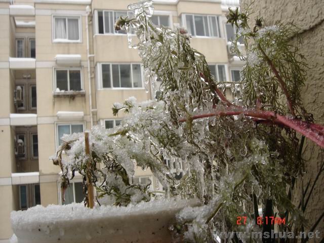 ������С DSC02179.JPG