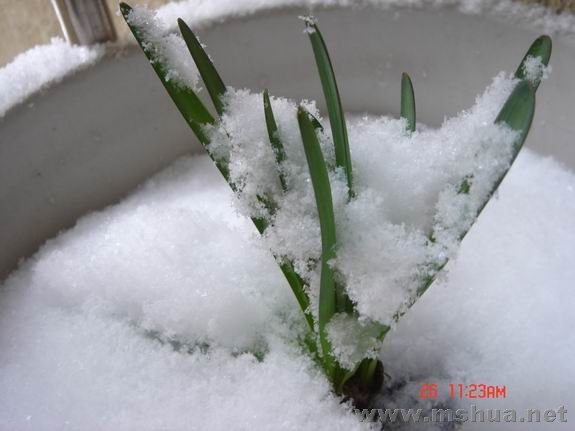 ������С DSC02158.JPG