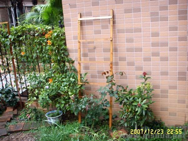 ������С SSL11543.JPG