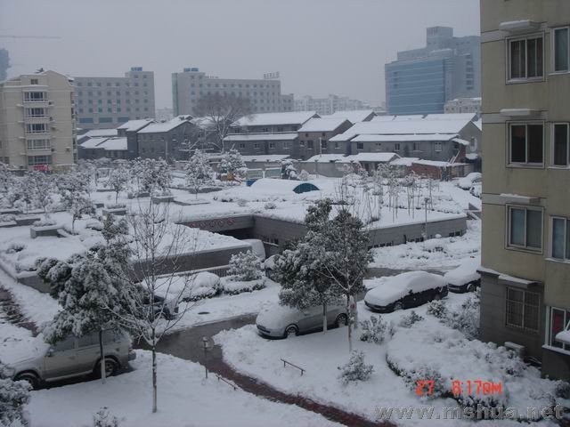 ������С DSC02180.JPG