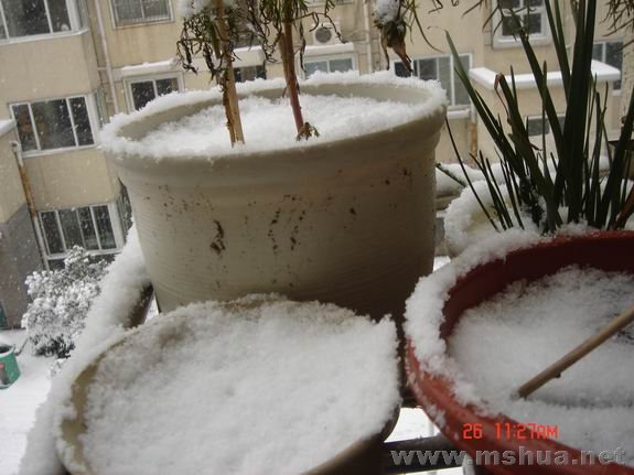 ������С DSC02164.JPG